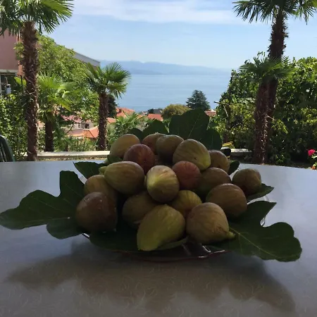 Anicic Lägenhet Opatija